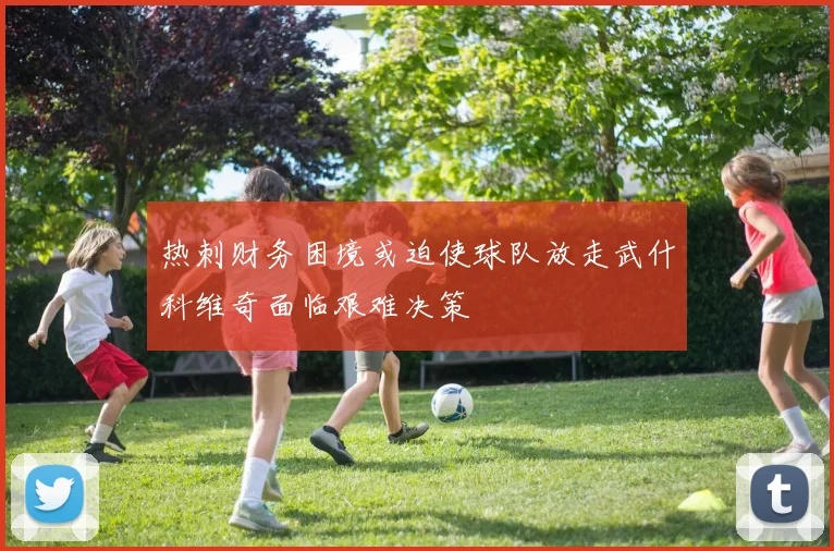 热刺财务困境或迫使球队放走武什科维奇面临艰难决策